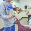 SUBMITTED PHOTOS
Tyson Oeltjenbruns works on a horse for the whodunit “Murder on the Menu.”